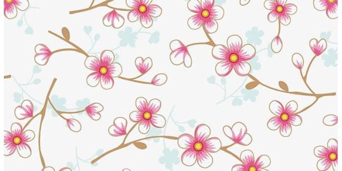 800x1200 Cherry Blossom wallpaper white