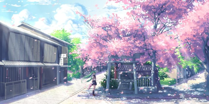 1920x1080 Cherry Blossom Wallpaper Anime (#441012) - HD Wallpaper Download