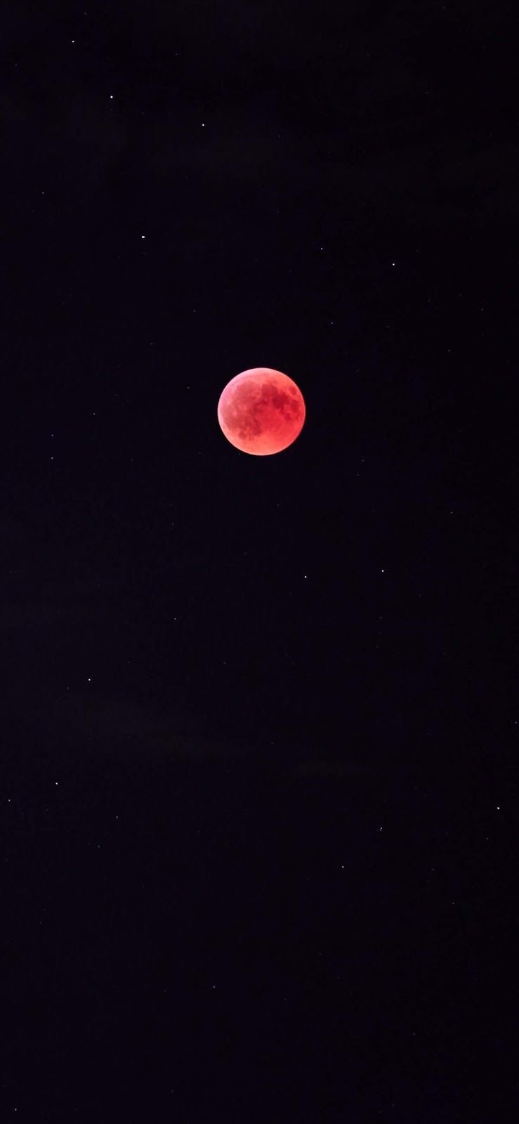 739x1600 Red full moon wallpaper