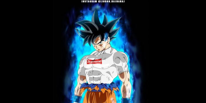 1920x1080 GOKU Supreme Transformation ❤ 4K HD Desktop Wallpaper for 4K Ultra