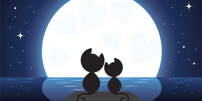 1680x1050 Valentine's Day Romantic Couple Wallpaper - 8Wallpapers