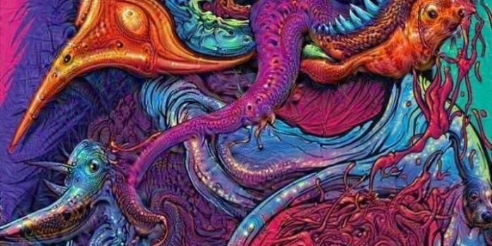 720x1280 cat on Uberall Farbe in 2019 | Hyper beast, Hyper beast