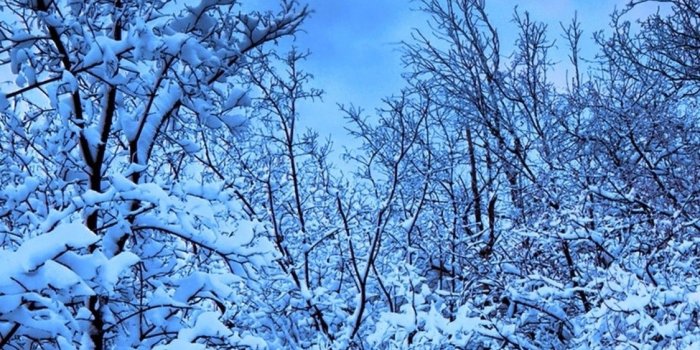 1125x2436 87+ Snow Iphone Wallpapers on WallpaperPlay