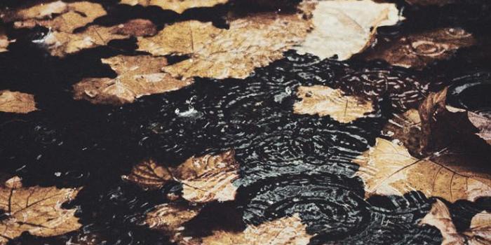 736x1308 15 Gorgeous Happy Fall iPhone X Wallpapers | Preppy Wallpapers