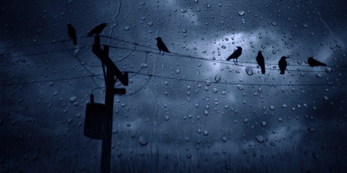 3840x2160 66+ Raining Wallpapers on WallpaperPlay