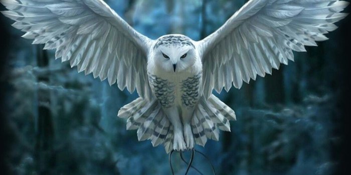 1080x960 Harry Potter 