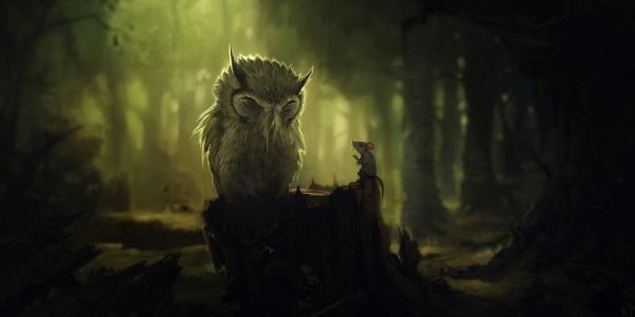 1920x1080 Hedwig Wallpapers