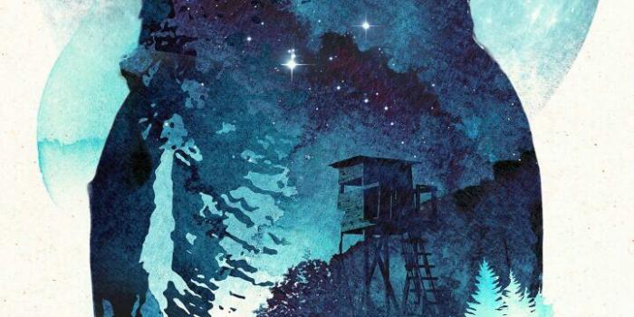 720x1280 Hedwig Wallpapers