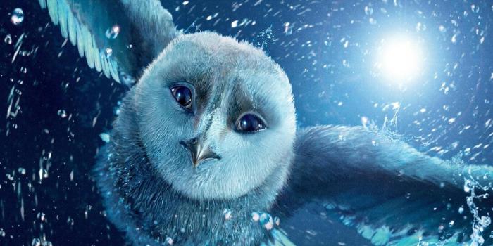 1695x1280 Hedwig iPhone Wallpapers - Top Free Hedwig iPhone Backgrounds