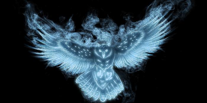 2835x1984 Owl Patronus by Tribalchick101.deviantart.com on @DeviantArt