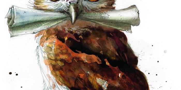 2152x2464 HD wallpaper: digital art, fantasy Art, Harry Potter, owl, Paint