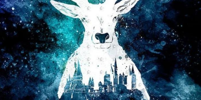 750x1150 Image about wallpaper in Harry Potter by bookishnymph