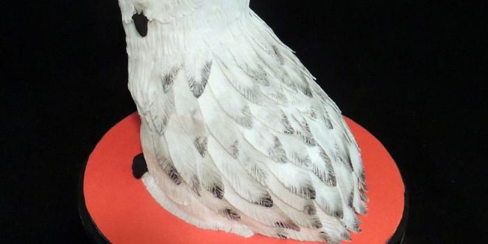 1024x768 Hedwig The Owl From Harry Potter - CakeCentral.com