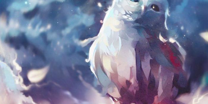 746x1071 Yesterday I finished Ubuntu Animal No. 23 . Inspired by Ubuntu