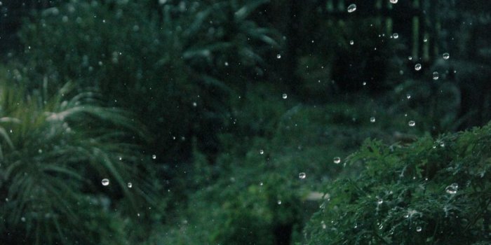 1280x1920 Green Aesthetics Wallpapers