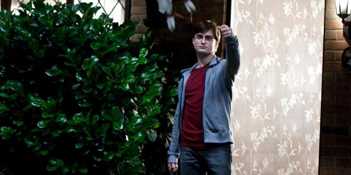 1200x1800 Harry Potter and Owl Desktop Wallpaper