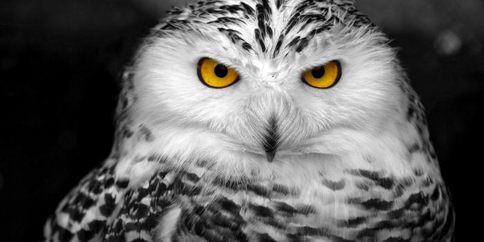 1920x1200 Harry Potter Quotes Wallpaper Ipad Harry Potter 7 The Deathly