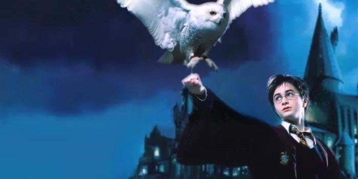 1024x768 Harry Potter Flying Hedwig Owl – HD Wallpapers