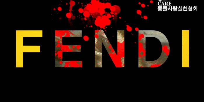 1920x1080 Fendi Wallpapers - Top Free Fendi Backgrounds - WallpaperAccess