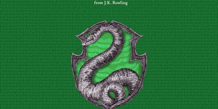 894x1320 Slytherin Wallpapers Iphone