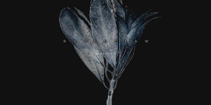 1000x1778 10 Black Flowers Wallpaper Tumblr - Download Wallpaper HD For PC