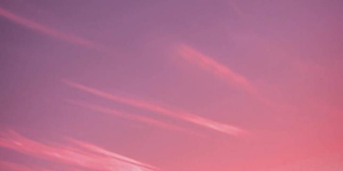 728x1294 Simpsons Wallpapers - Album on Imgur