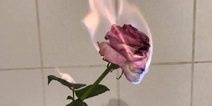 1024x1024 Aesthetic Rose Gold Bedroom Grunge – Ecoamazonico