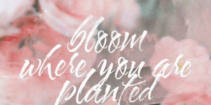 835x1353 Rose Gold Pink Aesthetic Wallpaper Hd | Graph Pedia