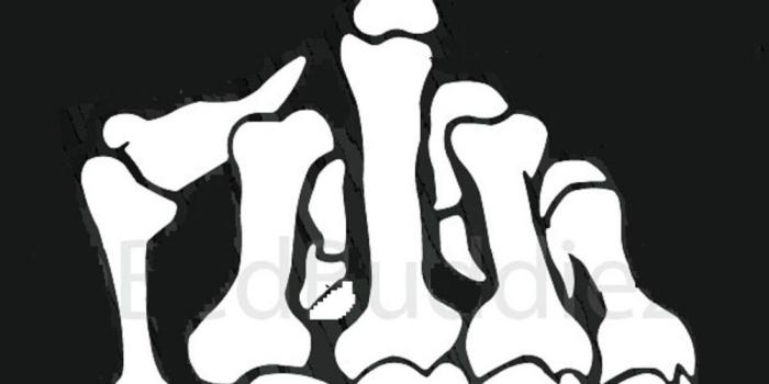 1000x1331 Mickey Mouse Middle Finger Group with 88+ items
