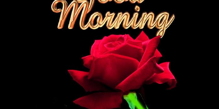 1280x1024 312+ Good Morning 3d Wallpaper Images Photo Pictures Download