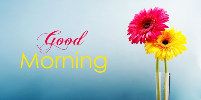 1920x1080 Atta Rehman on RANDOM HD | Good morning images, Morning