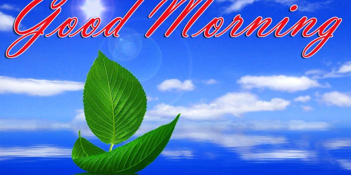 1413x900 99+ गुड मॉर्निंग इमेजेज Good Morning Images