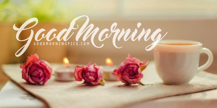 2560x1600 Good Morning Wallpapers for Android - APK Download