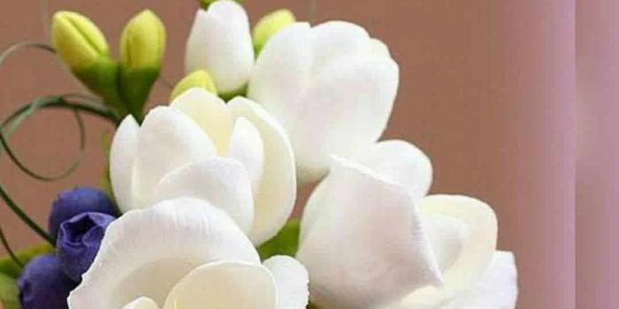 1080x1080 191+ Good Morning Images, Morning Picture, Good Morning HD Photos