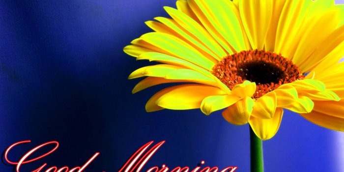 1649x1080 Latest Good Morning Images Wallpaper Photo Pics HD Download For
