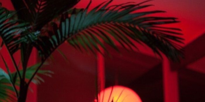 703x1250 Color pallet;) | Artsy Artsy in 2019 | Red aesthetic, Aesthetic