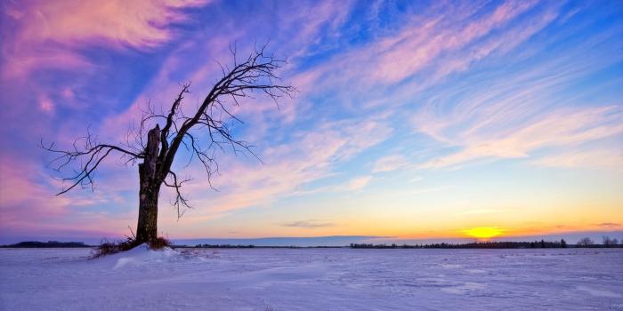 1600x900 Figure aesthetic mood wallpaper purple tones 49832 - Dongxue Series