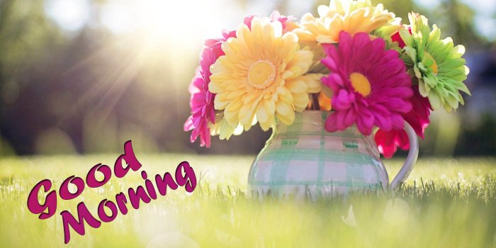 1920x1280 40 Beautiful Good Morning With Flowers Wishes Wallpapers