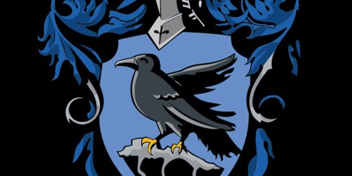 1000x1000 Group of Harry Potter Ravenclaw Wallpaper Hd