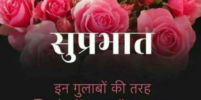 1024x973 Suprabhat Good Morning Rose Photo Wallpaper Download - Good Morning