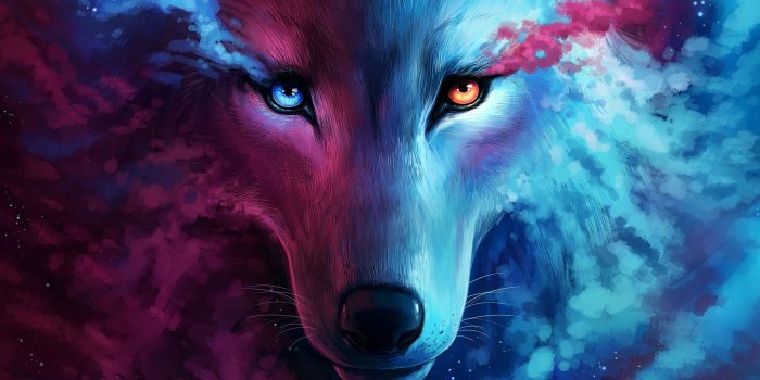 2662x1497 The Galaxy Wolf, HD Artist, 4k Wallpapers, Images, Backgrounds