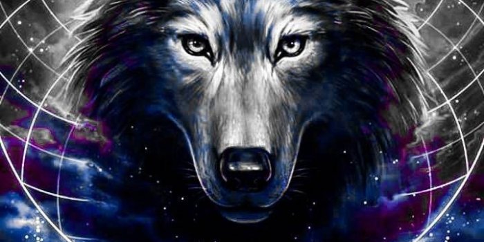 720x1280 NiedlicheZeichnung – | Art in 2019 | Wolf pictures, Wolf wallpaper