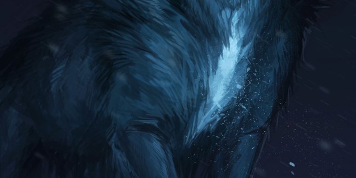 1440x2960 80+ Galaxy Wolf Wallpapers on WallpaperPlay