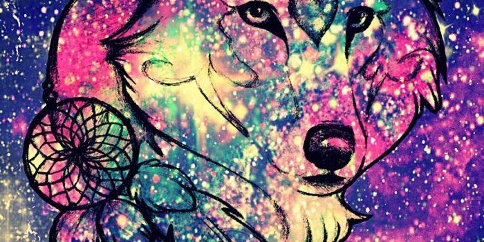 1080x1920 80+ Galaxy Wolf Wallpapers on WallpaperPlay