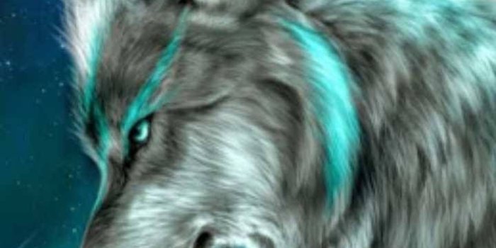 720x1280 Galaxy wolf Wallpaper by Stuggthepug - 58 - Free on ZEDGE™