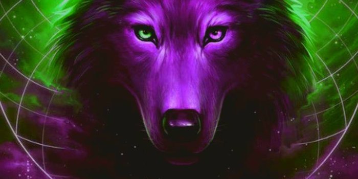 720x1280 Galaxy wolf Wallpaper by Lonewolf70123 - 4d - Free on ZEDGE™