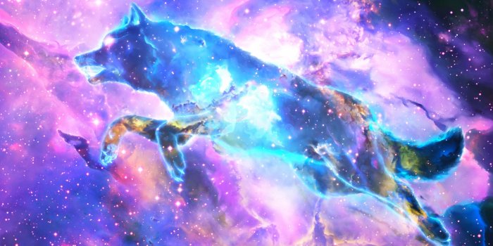 2560x1440 80+ Galaxy Wolf Wallpapers on WallpaperPlay
