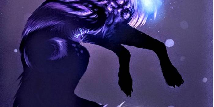 914x1280 Galaxy wolf Wallpaper by Snowwolf106 - 9b - Free on ZEDGE™