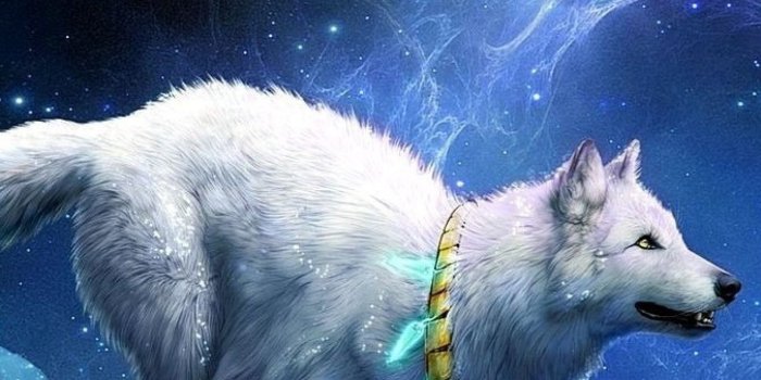 1440x2560 80+ Galaxy Wolf Wallpapers on WallpaperPlay