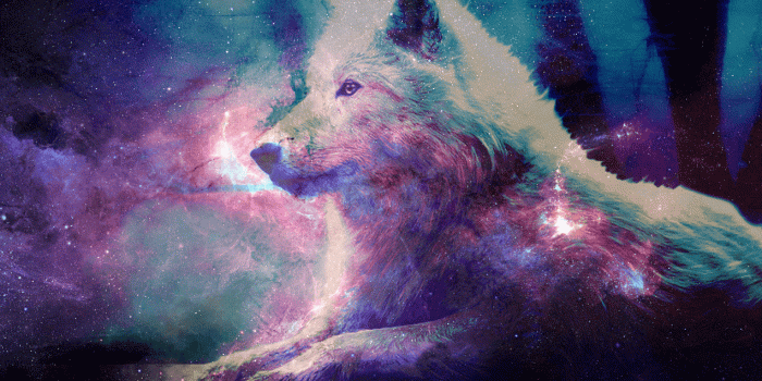 1272x1032 Galaxy Wolf Wallpapers - Top Free Galaxy Wolf Backgrounds